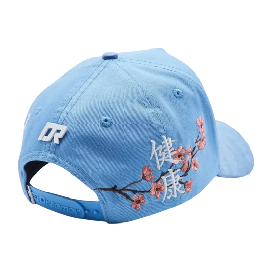 Dreamer Hats ¨Kanji Blue¨